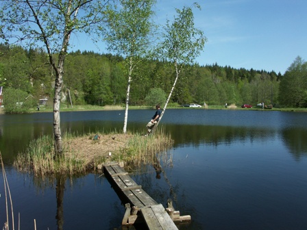Stora dammen
